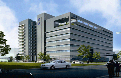 深圳盛凌電子股份有限公司